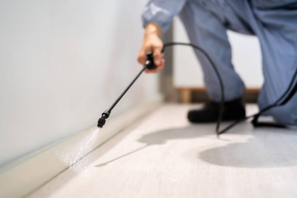 Licensed Fumigation Services service in Somonauk, IL - Nex Pest Control