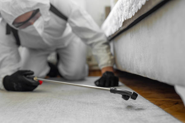 Professional Fumigation Services technician working in Somonauk, IL