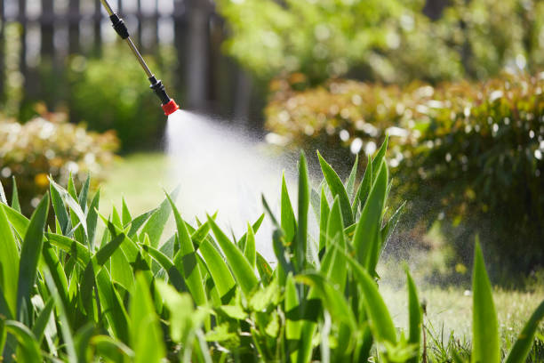 24/7 Emergency Fumigation Services experts in Somonauk, IL