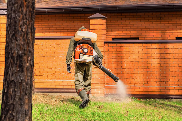 Trusted Rodent Control service in Somonauk, IL - Nex Pest Control